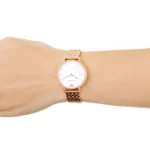 Emporio Armani watch for women AR11006 - الصورة 9