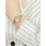 Emporio Armani watch for women AR11140 - الصورة 5