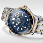 Omega (SEAMASTER DIVER) watch for men 210.20.42.20.03.001 - الصورة 4